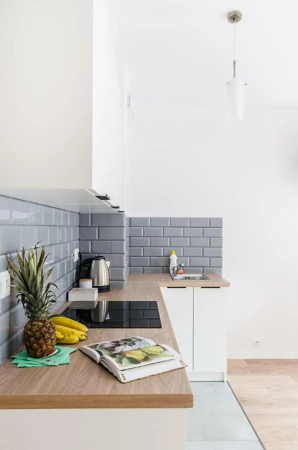 Smart Rental Management Apartments - City Center Vratislav
